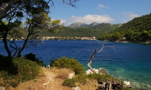Zdjęcie CHORWACJA / Wyspy Dalmatyńskie / Lastovo / Bajeczna kraina