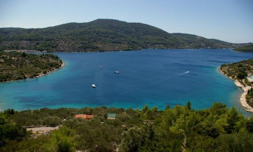 Zdjęcie CHORWACJA / Wyspy Dalmatyńskie / Vela Luka / Korcula