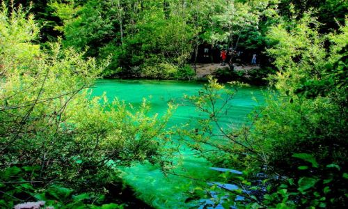 Zdjcie CHORWACJA / okolice Zagrzebia / plitvice / Plitwickie Jeziora