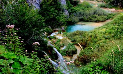 Zdjcie CHORWACJA / okolice Zagrzebia / plitvice / Kolorowe jeziorko 1