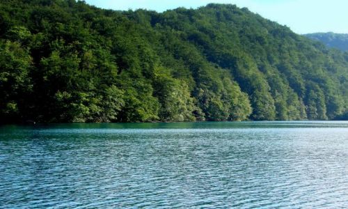 Zdjecie CHORWACJA / okolice Zagrzebia / plitvice / Kolorowe jeziorko 12