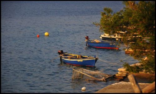 Zdjęcie CHORWACJA / - / Wyspa Mljet / Ciepło