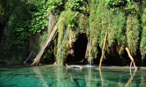 Zdjcie CHORWACJA / Plitvice / Plitvickie jeziora / przejrzysto wody w jeziorze