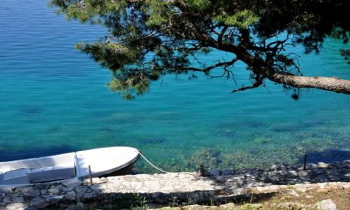Zdjecie CHORWACJA / - / Mljet / Bkit