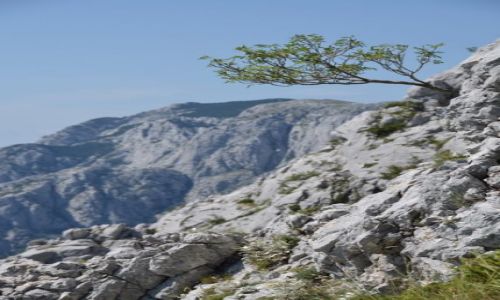 Zdjecie CHORWACJA / rodkowa Dalmacja / Niedaleko Makarskiej / Panaroma Biokovo