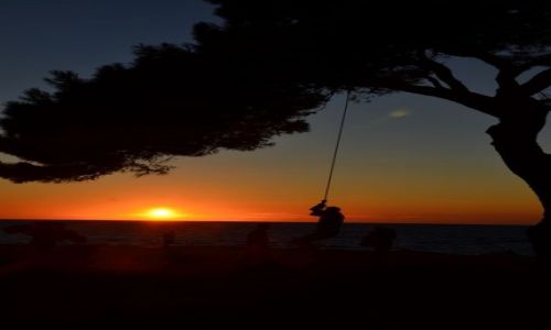 Zdjecie CHORWACJA / - / Veli Rat  / Wyspa Dugi Otok 