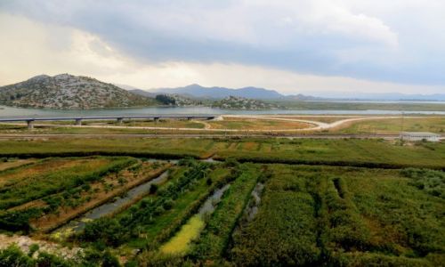 Zdjecie CHORWACJA / Dalmacja / na trasie Ploce- Opuzen / w delcie Neretwy