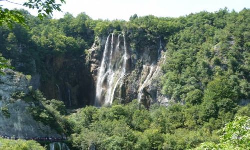 Zdjcie CHORWACJA / - / Plitvickie jeziora / Plitvickie jeziora