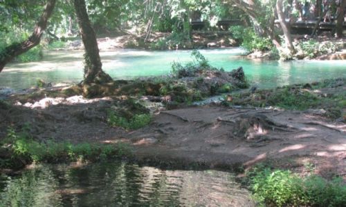 Zdjcie CHORWACJA / Park Narodowy Krka / Chorwacja / Wycieczka po Krka