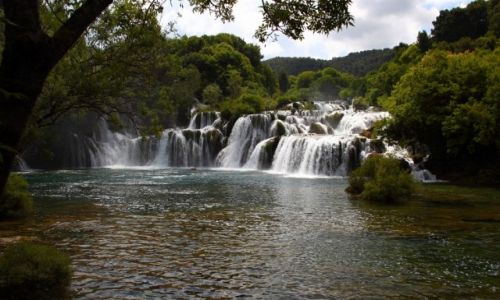Zdjecie CHORWACJA / rodkowej Dalmacji. / Park Narodowy Krka / Wodospady rzeki Krk