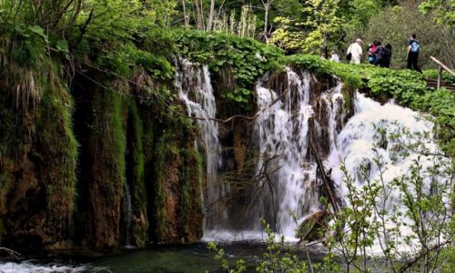 Zdjecie CHORWACJA / Wschodnia granica z Boni i Hercegowin; / Park Narodowy Jezior Plitwickich. / Plitwickie   wodospady-2