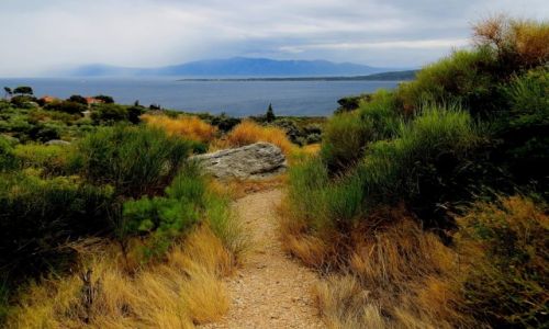 Zdjecie CHORWACJA / Riviera Makarska / w gr Biokovo / mglisty poranek...