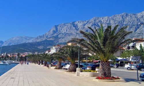 Zdjęcie CHORWACJA / brak / Makarska / Alejka palmowa