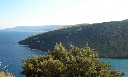 Zdjęcie CHORWACJA / brak / okolice Rijeki / bella Istria