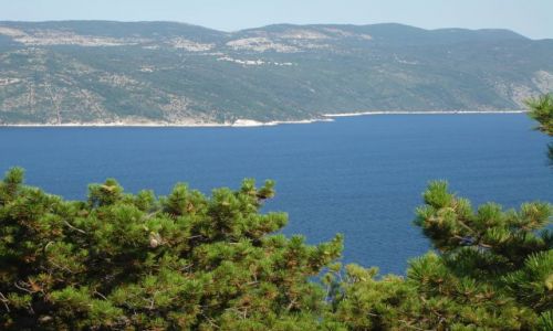 Zdjęcie CHORWACJA / brak / okolice Rijeki / bella Istria