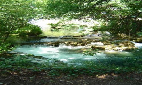 Zdjęcie CHORWACJA / brak / Krka / Krka