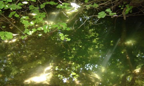 Zdjęcie CHORWACJA / brak / Krka PN / krka