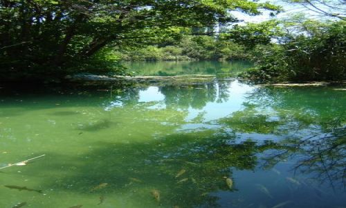 Zdjęcie CHORWACJA / brak / Krka PN / krka