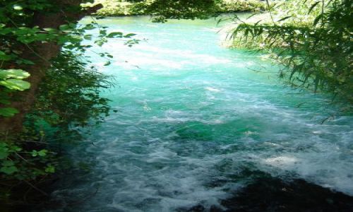 Zdjęcie CHORWACJA / brak / Krka PN / Krka