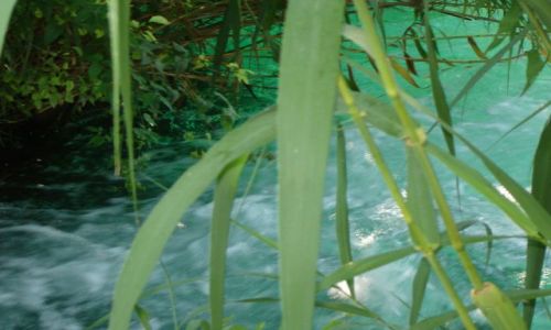 Zdjęcie CHORWACJA / brak / Krka PN / Krka