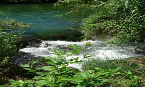 Zdjęcie CHORWACJA / brak / Krka PN / Krka