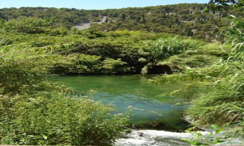 Zdjęcie CHORWACJA / brak / Krka PN / Krka