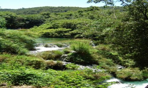 Zdjęcie CHORWACJA / brak / Krka PN / Krka
