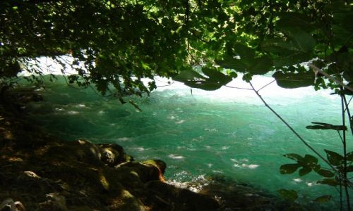 Zdjęcie CHORWACJA / brak / Krka PN / Krka