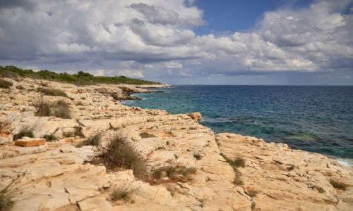 Zdjęcie CHORWACJA / Półwysep Istria  / Premantura / Plaża