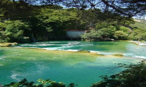 Zdjęcie CHORWACJA / brak / Krka / Krka