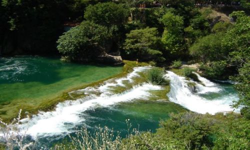 Zdjęcie CHORWACJA / brak / Krka / Krka