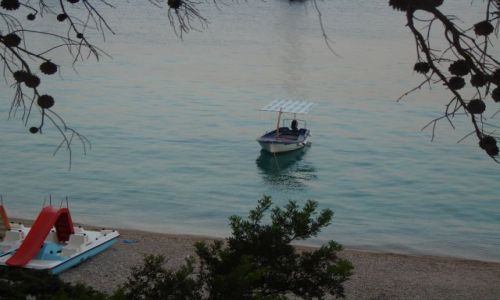 Zdjęcie CHORWACJA / brak / Skocjan / plaża Bol