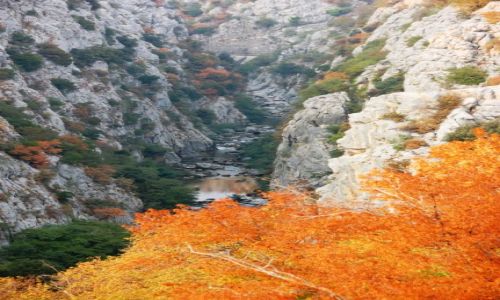 Zdjecie CHORWACJA / Dalmacja / Sestanowac / Cetina