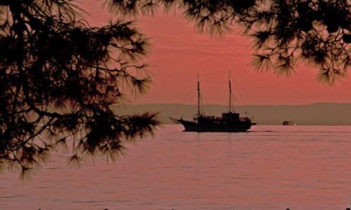 Zdjecie CHORWACJA / Dalmacja / Makarska  / ....
