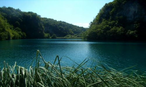 Zdjcie CHORWACJA / Jezioro Milanovac /  Park Narodowy / zza traw