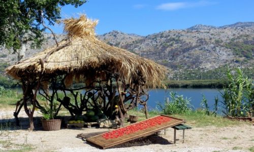Zdjecie CHORWACJA / Dalmacja / pola nad Neretw / w poudniowym socu...