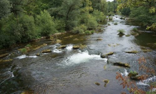 Zdjecie CHORWACJA / rodkowa Chorwacja / Slunj, rzeka Slunjica / nieskaona, surowa i dzika...