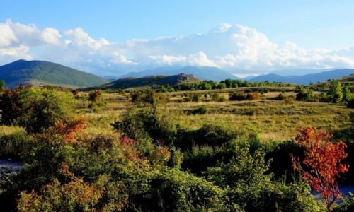 Zdjecie CHORWACJA / rodkowa Chorwacja / przed Sinj / w drodze powrotnej...
