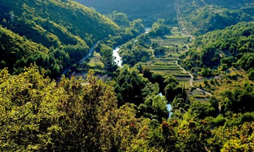 Zdjecie CHORWACJA / Dalmacja rodkowa / Zadvarje / kanion Cetiny...