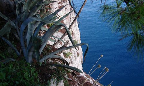 Zdjęcie CHORWACJA / Dalmacja / Makarska  / ..