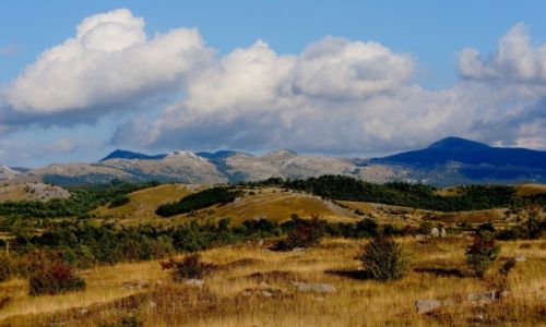 Zdjecie CHORWACJA / Dalmacja / w drodze z Makarskiej do Knina / nieplanowana przerwa w podry...