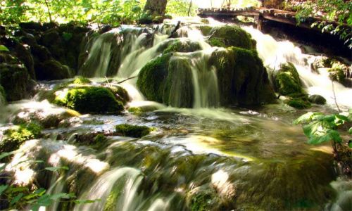 Zdjecie CHORWACJA / ¶rodkowa Dalmacja / Park Narodowy Krka  / ...