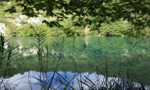 Zdjcie CHORWACJA / upanja Lichicko-Senjska / Park Narodowy Jezior Pitwickich / Jeziora Pitwickie
