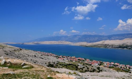 Zdjcie CHORWACJA / Dalmacja / Pag / Na wyspie Pag 4
