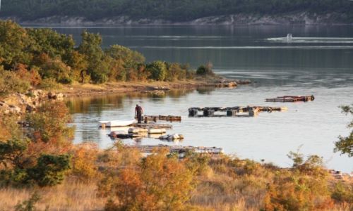 Zdjęcie CHORWACJA / Środkowa Chorwacja / Novigrad / Hodowla małży