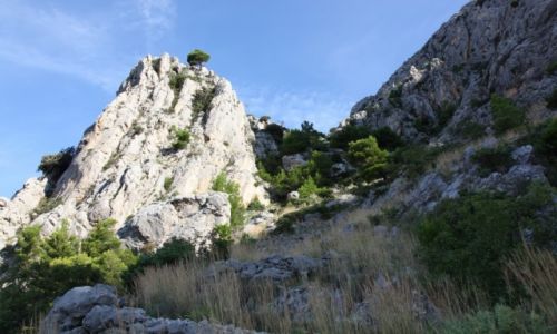 Zdjcie CHORWACJA / Makarska / Park Przyrodniczy Biokovo / Na szlaku