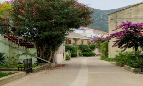 Zdjecie CHORWACJA / Dalmacja poudniowa / uljana na pwyspie Peljeac / rankiem w rybackiej wiosce...