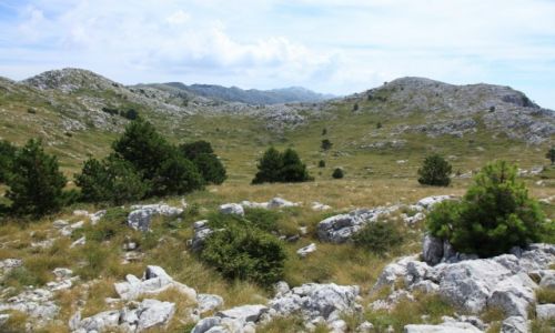 Zdjcie CHORWACJA / Makarska / Park Przyrodniczy Biokovo / Dynarskie pagrki