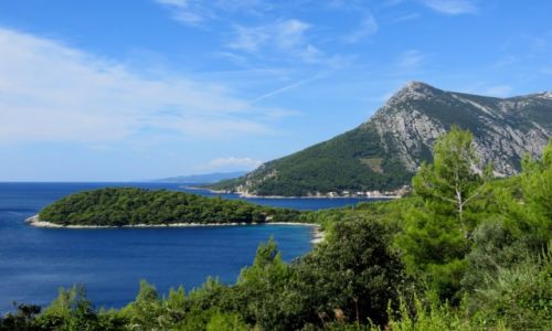 Zdjecie CHORWACJA / pwysep Peljeac / midzy uljan a Trstenikiem / star drog do Trstenika...
