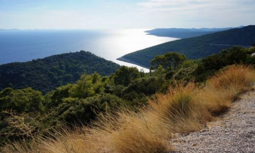 Zdjecie CHORWACJA / Dalmacja poudniowa-Korula / Pupnatska Luka / ku socu...